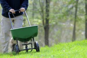 A Quick Guide to the Best Time to Fertilize Your Lawn