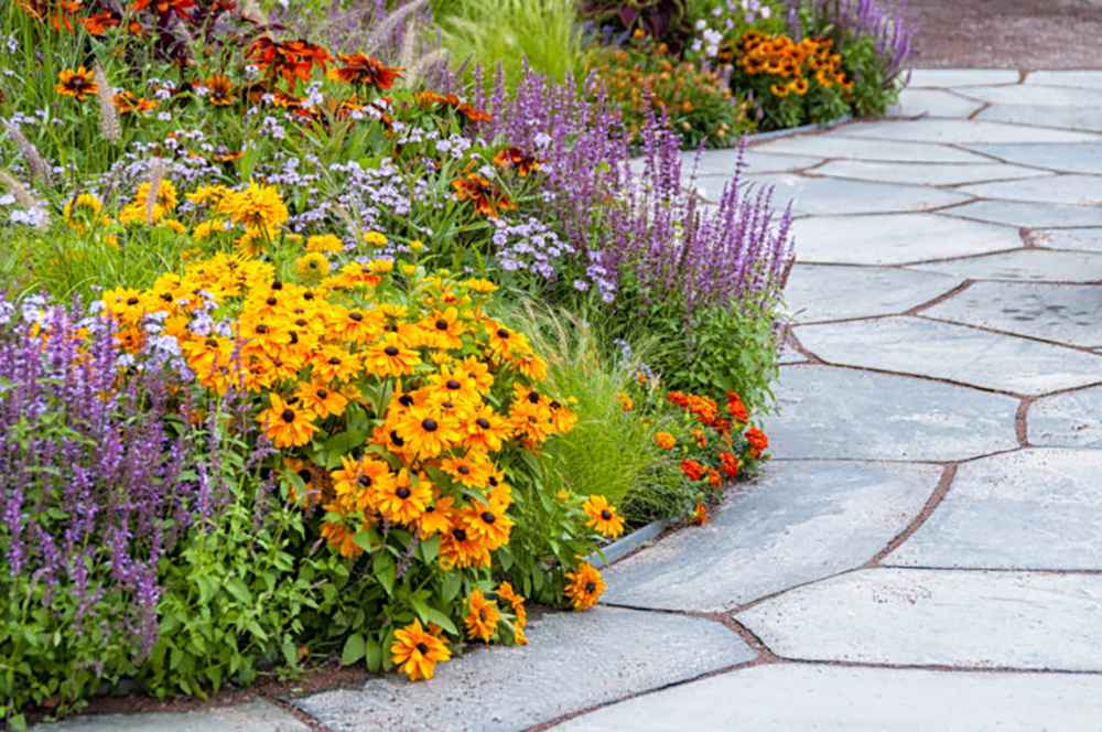 ask a professional gardener: What perennials should i plant in the spring?