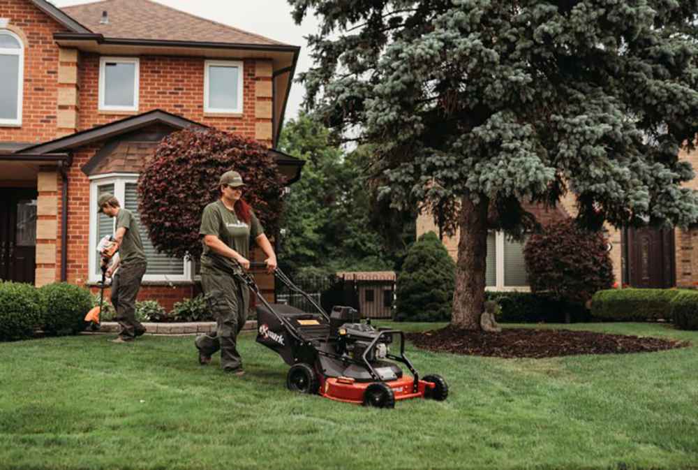Best Lawn Care Tips from a Professional Lawn Cutting Services Company