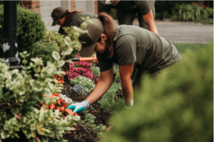 10 Best Gardening Tips That Save Time and Money | Lawn Troopers
