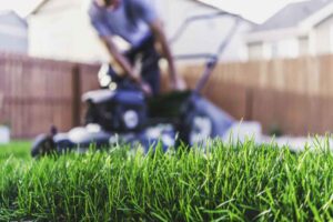 3 BEST LAWN CARE TIPS FOR SPRING IN ONTARIO