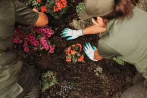 Ask a Pro Gardener: Top Gardening Tips for Beginners