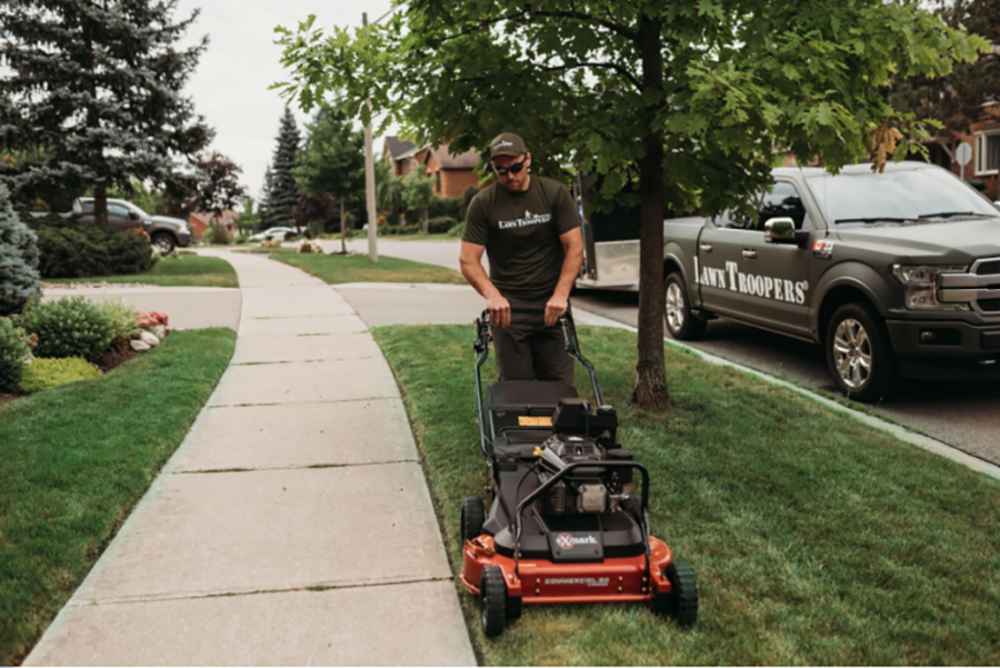 ASK A LAWN MOWING SERVICES COMPANY WHATS THE BEST MOWING HEIGHT