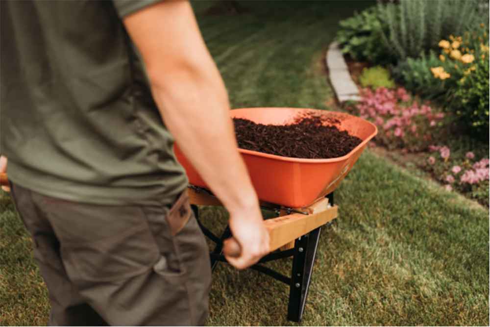 Ask a Pro Gardener: Our Year-Round Garden Maintenance Checklist