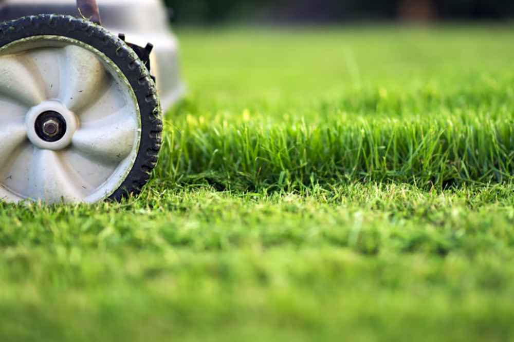 HOW TO MOW THE LAWN TIPS FROM PROFESSIONAL LAWN CARE SPECIALISTS