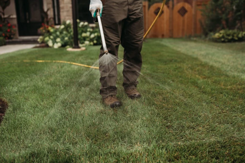 Fertilize Your Lawn
