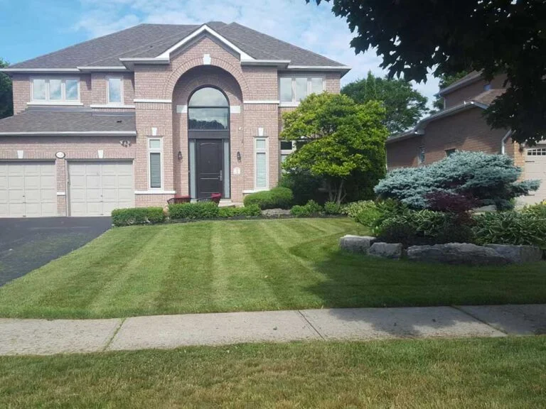 Best Time to Fertilize Your Lawn