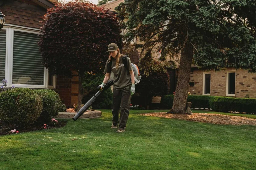 Hire a lawn care service