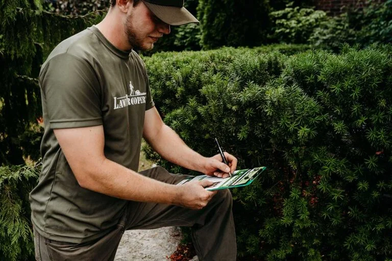 How to fertilize your lawn