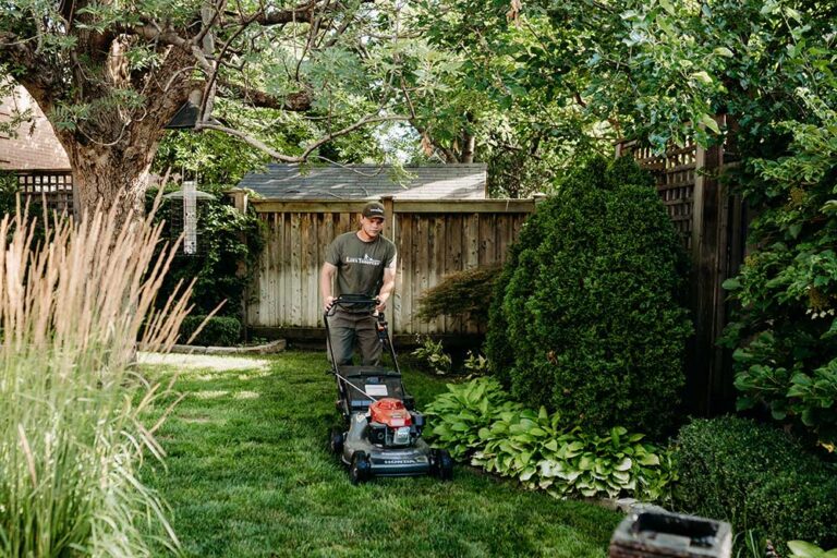 how to mow the lawn