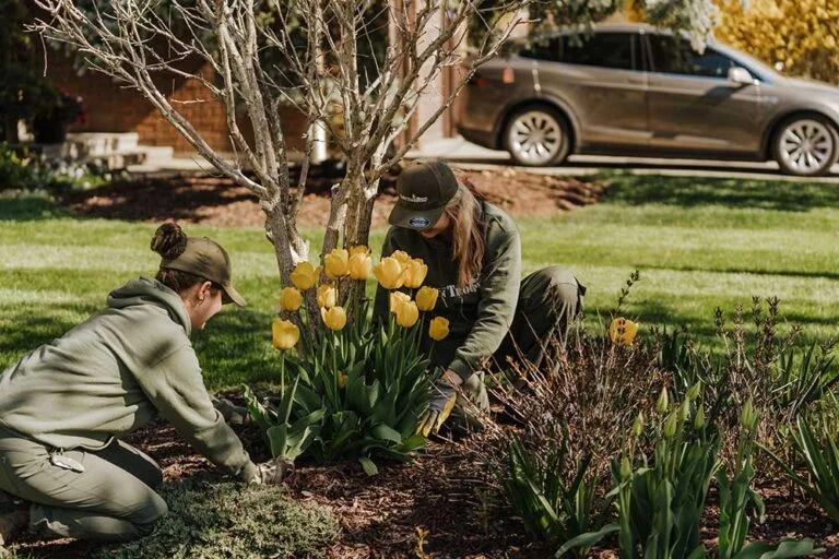 spring yard cleanup checklist