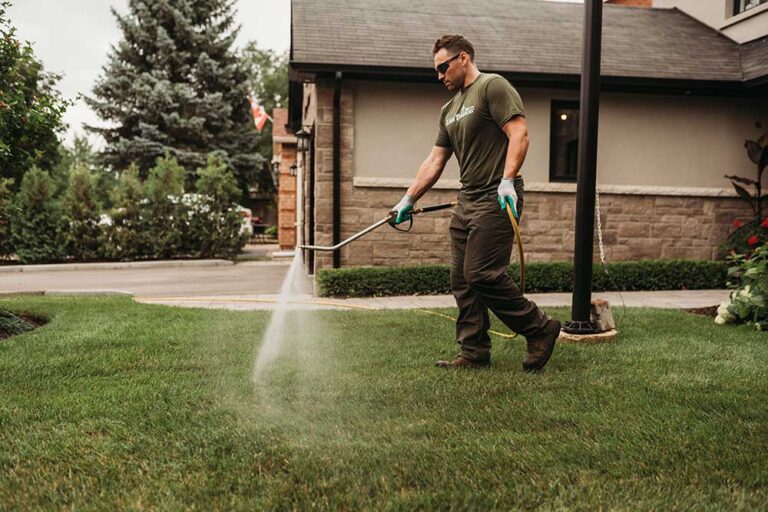 lawn treatment for grubs