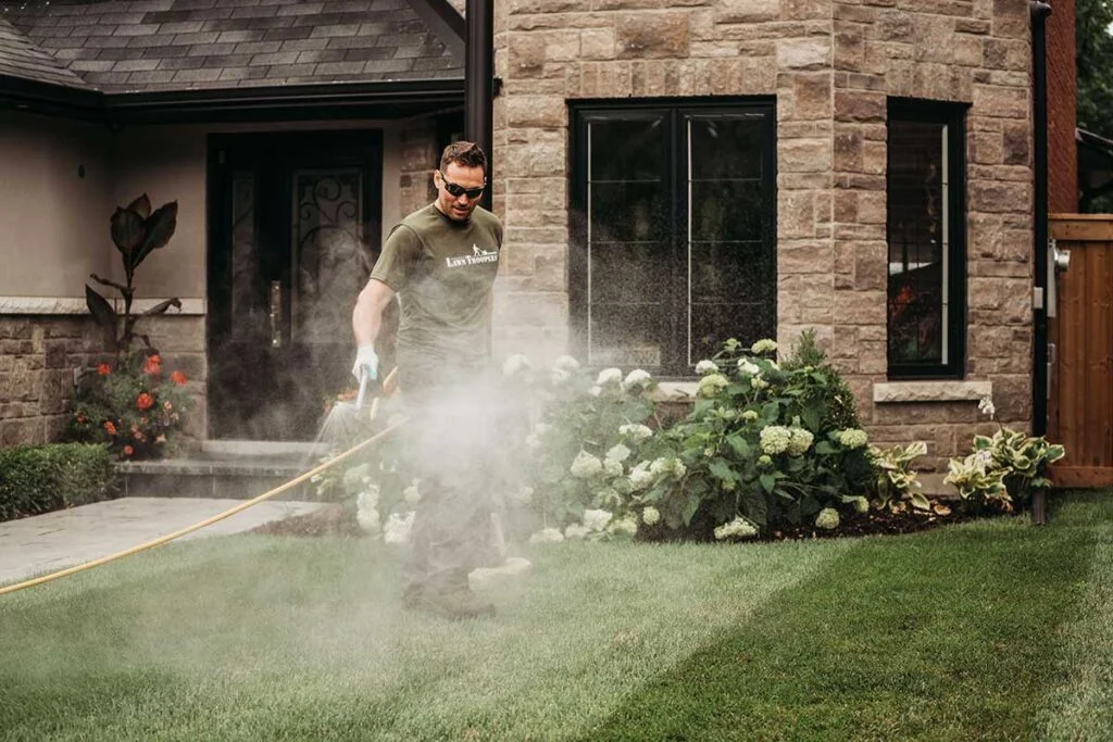lawn care in the spring